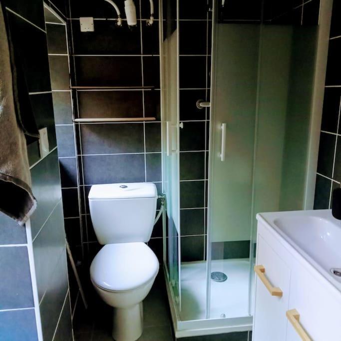 Le Cosy Chaleureux Appartement Saint-Etienne  Esterno foto